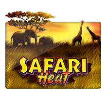 เกมสล็อต XO ที่มีชื่อว่า safariheat