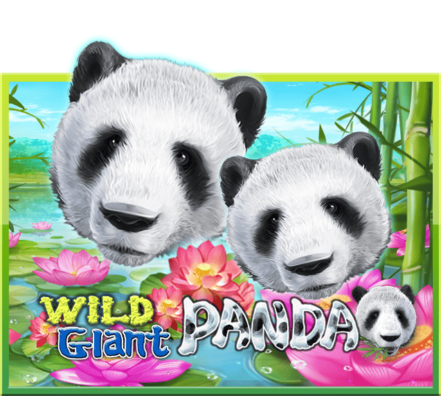 เกม SLOTXO Wild Giant Panda